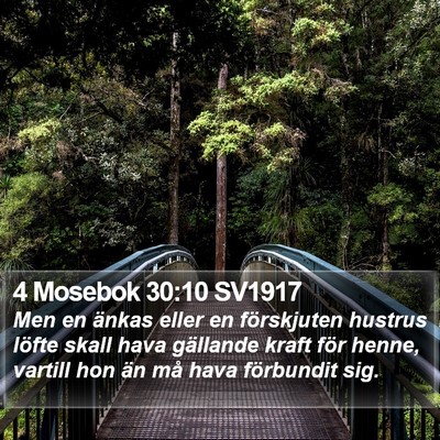 4 Mosebok 30:10 SV1917 Bible Verse Image