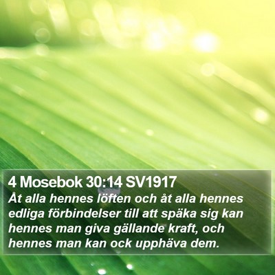4 Mosebok 30:14 SV1917 Bible Verse Image