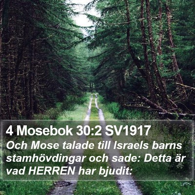 4 Mosebok 30:2 SV1917 Bible Verse Image