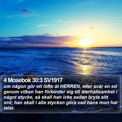 4 Mosebok 30:3 SV1917 Bible Verse Image