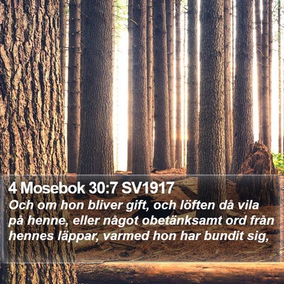 4 Mosebok 30:7 SV1917 Bible Verse Image