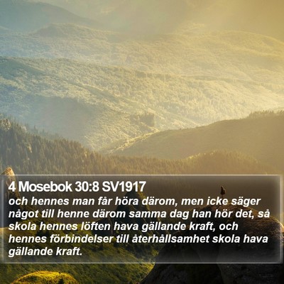 4 Mosebok 30:8 SV1917 Bible Verse Image
