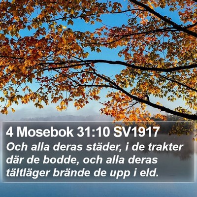 4 Mosebok 31:10 SV1917 Bible Verse Image