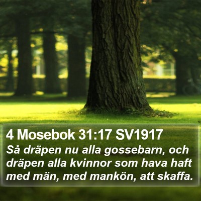 4 Mosebok 31:17 SV1917 Bible Verse Image