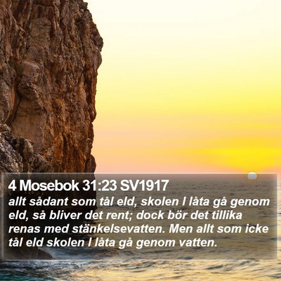 4 Mosebok 31:23 SV1917 Bible Verse Image