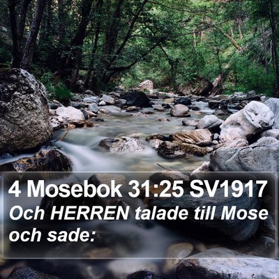 4 Mosebok 31:25 SV1917 Bible Verse Image