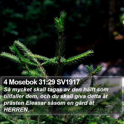4 Mosebok 31:29 SV1917 Bible Verse Image