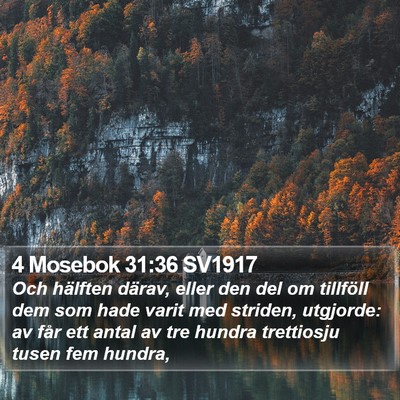 4 Mosebok 31:36 SV1917 Bible Verse Image