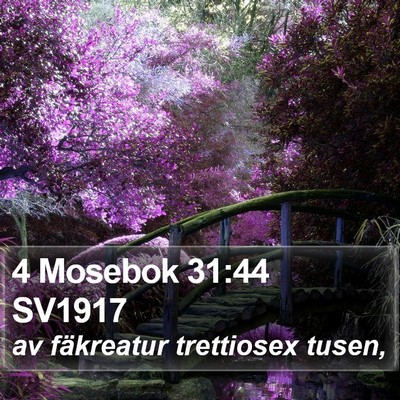 4 Mosebok 31:44 SV1917 Bible Verse Image