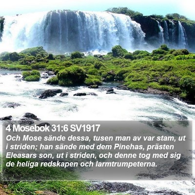 4 Mosebok 31:6 SV1917 Bible Verse Image