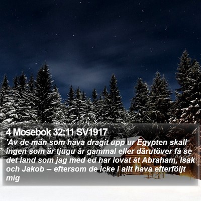 4 Mosebok 32:11 SV1917 Bible Verse Image