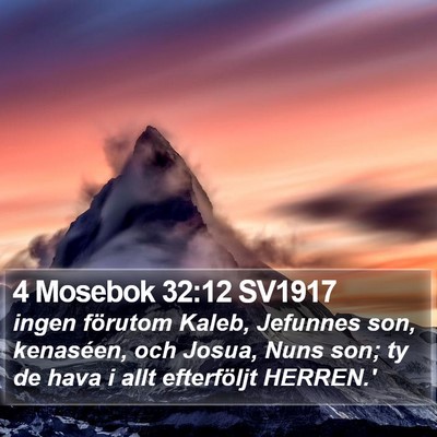 4 Mosebok 32:12 SV1917 Bible Verse Image