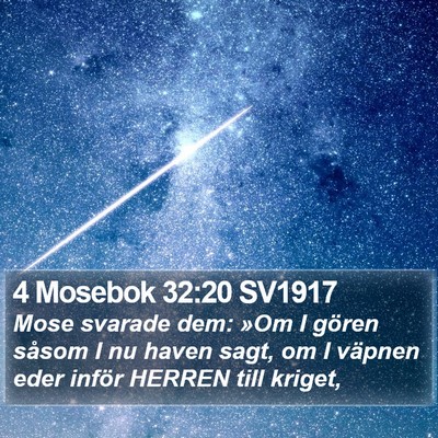 4 Mosebok 32:20 SV1917 Bible Verse Image