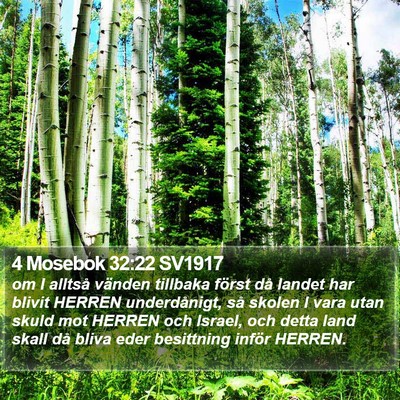 4 Mosebok 32:22 SV1917 Bible Verse Image