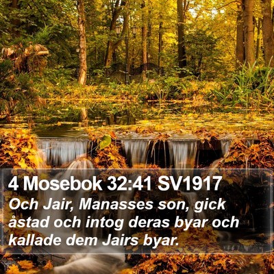 4 Mosebok 32:41 SV1917 Bible Verse Image