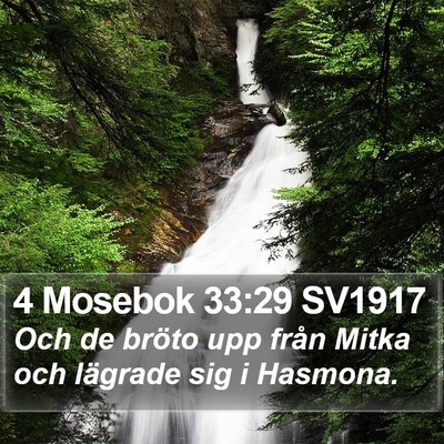 4 Mosebok 33:29 SV1917 Bible Verse Image