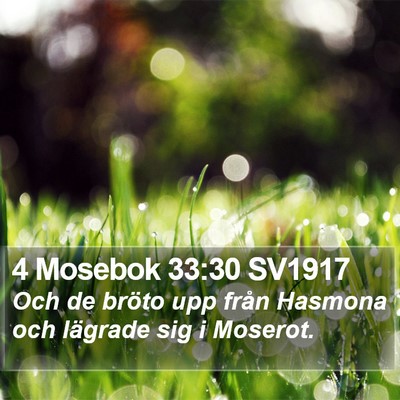 4 Mosebok 33:30 SV1917 Bible Verse Image