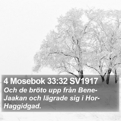 4 Mosebok 33:32 SV1917 Bible Verse Image