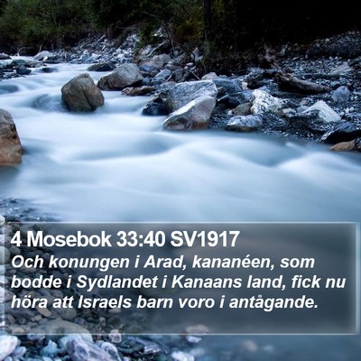 4 Mosebok 33:40 SV1917 Bible Verse Image