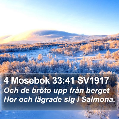 4 Mosebok 33:41 SV1917 Bible Verse Image