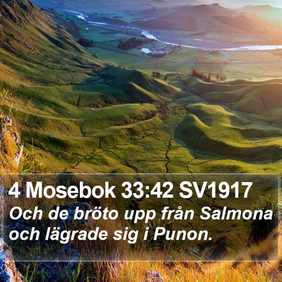 4 Mosebok 33:42 SV1917 Bible Verse Image