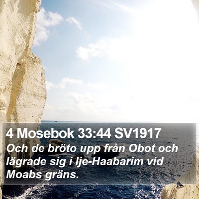 4 Mosebok 33:44 SV1917 Bible Verse Image