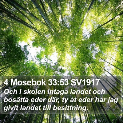 4 Mosebok 33:53 SV1917 Bible Verse Image