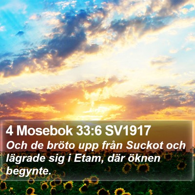 4 Mosebok 33:6 SV1917 Bible Verse Image