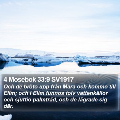 4 Mosebok 33:9 SV1917 Bible Verse Image