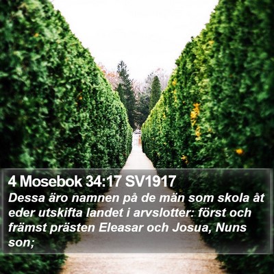 4 Mosebok 34:17 SV1917 Bible Verse Image