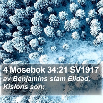 4 Mosebok 34:21 SV1917 Bible Verse Image