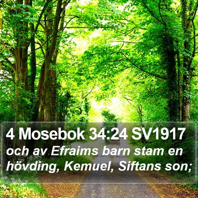 4 Mosebok 34:24 SV1917 Bible Verse Image