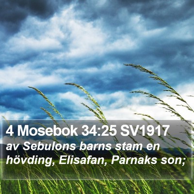 4 Mosebok 34:25 SV1917 Bible Verse Image