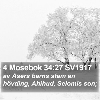4 Mosebok 34:27 SV1917 Bible Verse Image