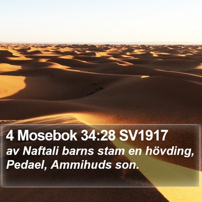 4 Mosebok 34:28 SV1917 Bible Verse Image