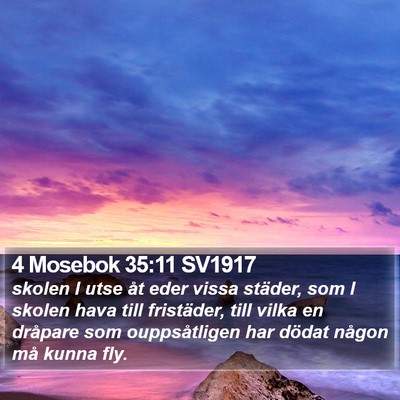 4 Mosebok 35:11 SV1917 Bible Verse Image