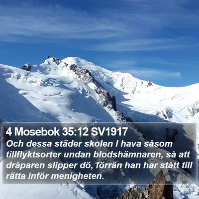 4 Mosebok 35:12 SV1917 Bible Verse Image