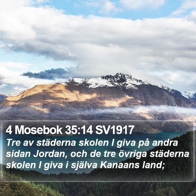 4 Mosebok 35:14 SV1917 Bible Verse Image