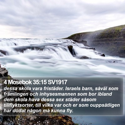 4 Mosebok 35:15 SV1917 Bible Verse Image