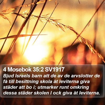 4 Mosebok 35:2 SV1917 Bible Verse Image