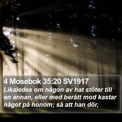 4 Mosebok 35:20 SV1917 Bible Verse Image