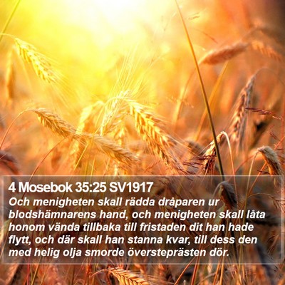 4 Mosebok 35:25 SV1917 Bible Verse Image