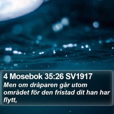 4 Mosebok 35:26 SV1917 Bible Verse Image