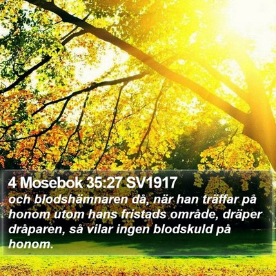 4 Mosebok 35:27 SV1917 Bible Verse Image