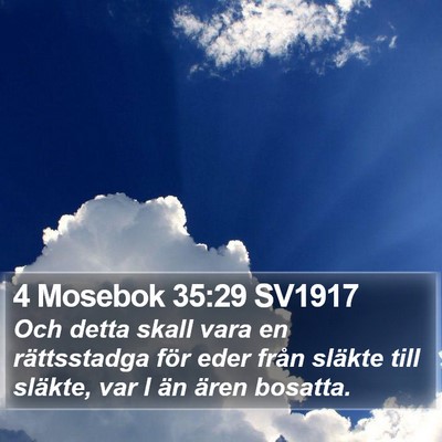 4 Mosebok 35:29 SV1917 Bible Verse Image