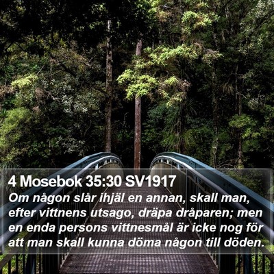 4 Mosebok 35:30 SV1917 Bible Verse Image