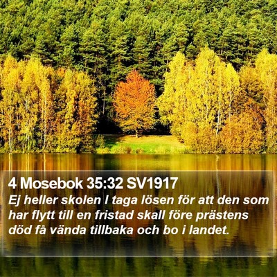 4 Mosebok 35:32 SV1917 Bible Verse Image