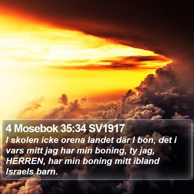 4 Mosebok 35:34 SV1917 Bible Verse Image