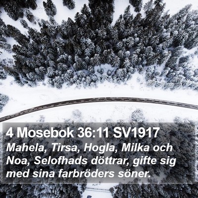 4 Mosebok 36:11 SV1917 Bible Verse Image