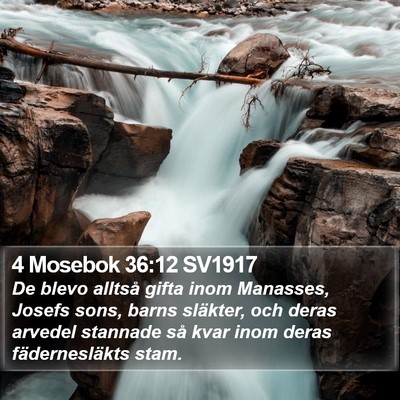 4 Mosebok 36:12 SV1917 Bible Verse Image